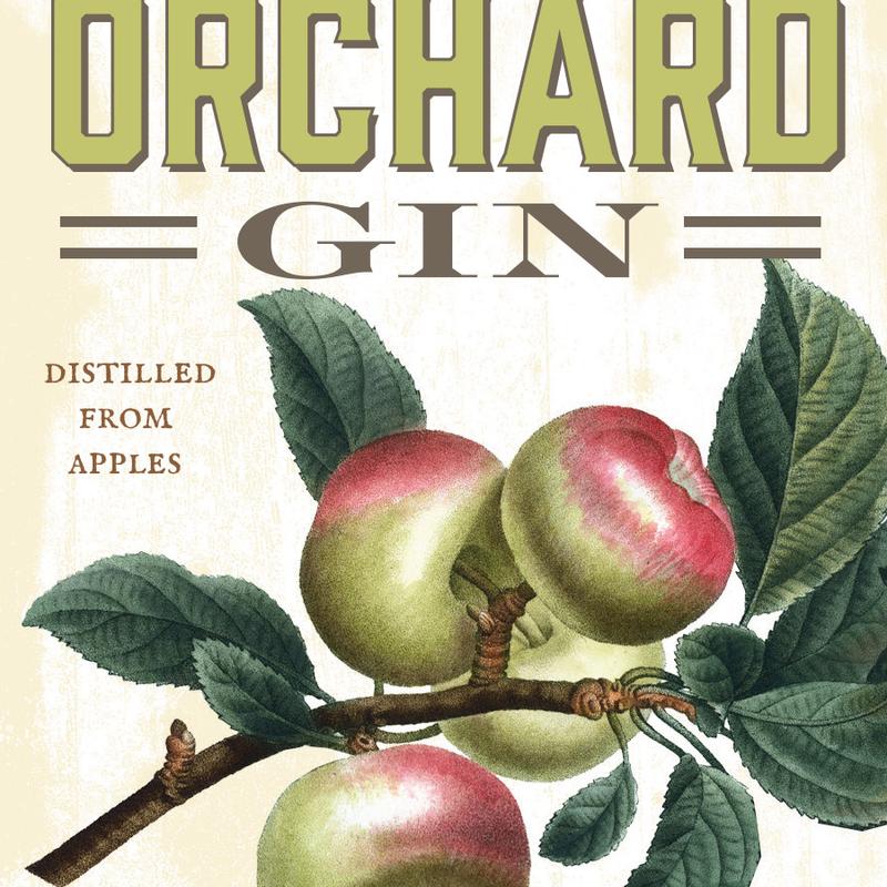 Orchard Apple Gin photo