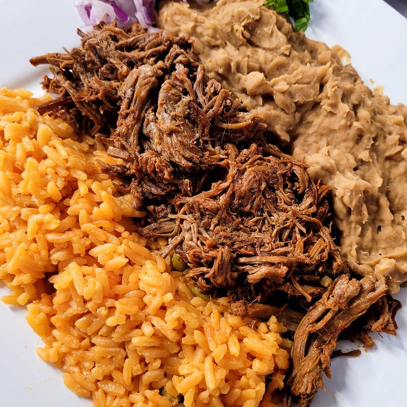 Birria Plate photo