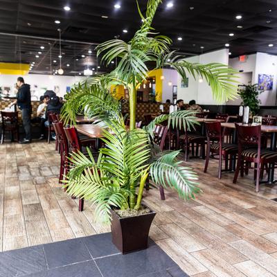 gallery photo number 30