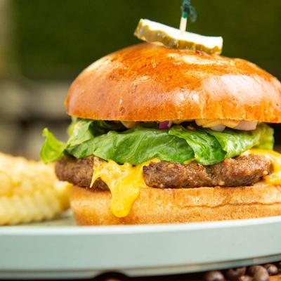 gallery photo number 8