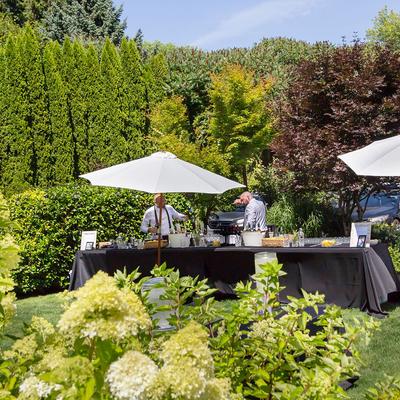 gallery photo number 230