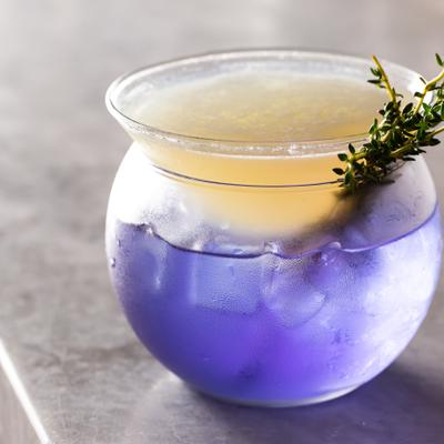 gallery photo number 43