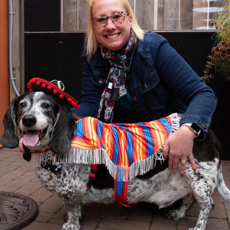 patio gallery photo number 1