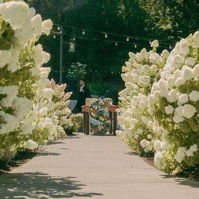 gallery photo number 376