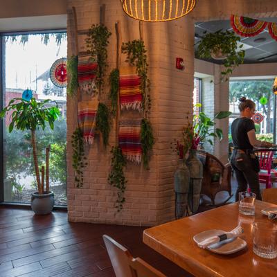 gallery photo number 10