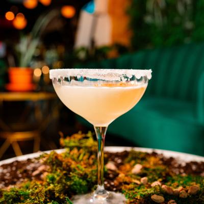 gallery photo number 5