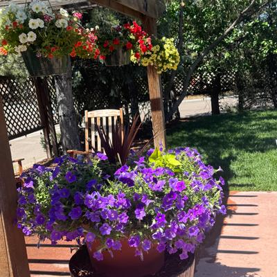 gallery photo number 9