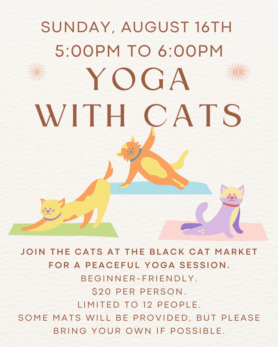 Yoga with Cats - August 16th event photo