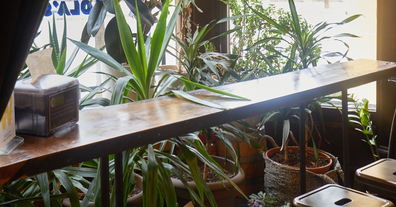 Interior, plant pots