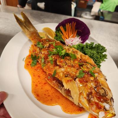 gallery photo number 7