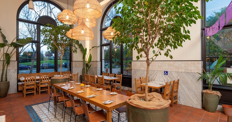 Interior, chairs and tables, big window in the background