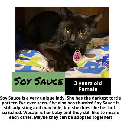 gallery photo number 1