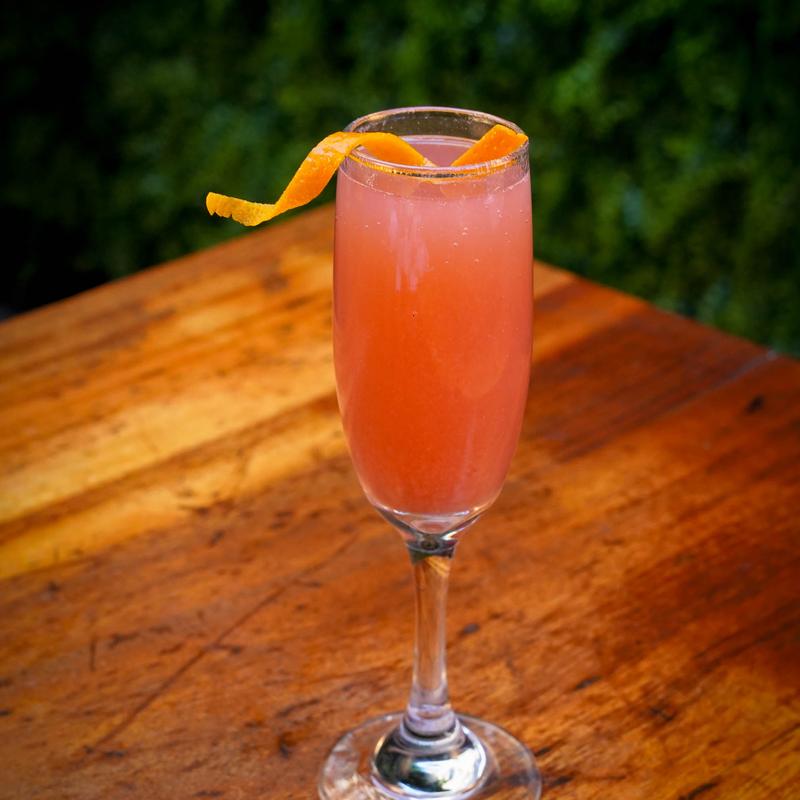BELLINI photo