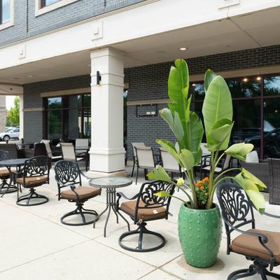 Outdoor patio with tables, chairs, and a large tropical plant in a green planter.
