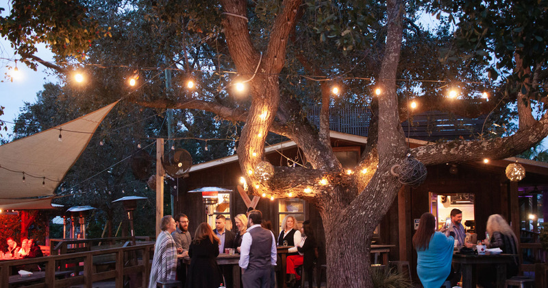 Exterior, night, people enjoying their time by the decorated tree