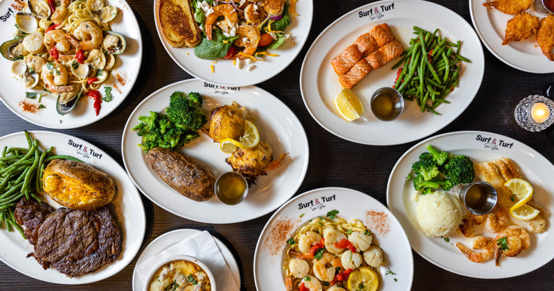 Multiple plates with different types of dishes, top view