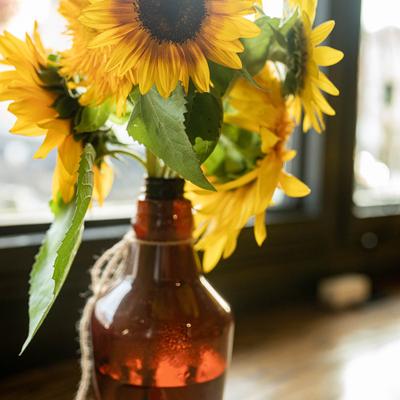 Sunflowers in a bottle vase.