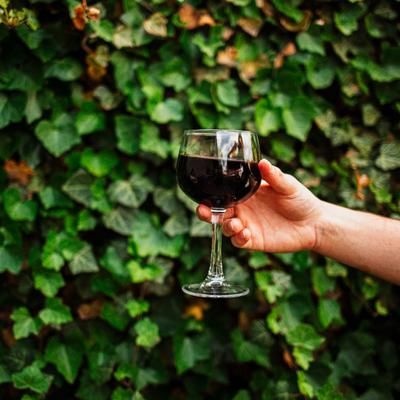 gallery photo number 9