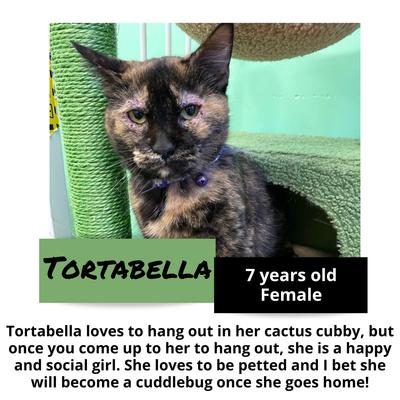 gallery photo number 7