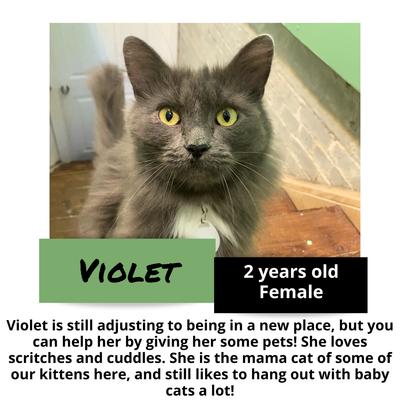 gallery photo number 12