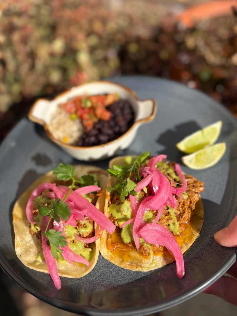 Tuesday January 20th Special 1