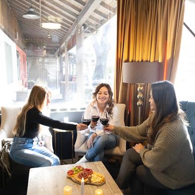 Guests toasting with wine.