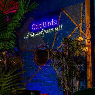 gallery photo number 5