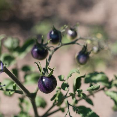 gallery photo number 47