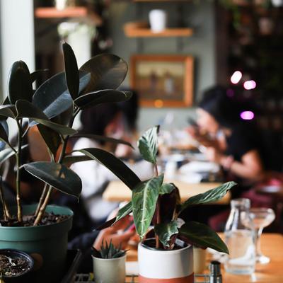Potted plants with blurred guests enjoying their meals in the background.