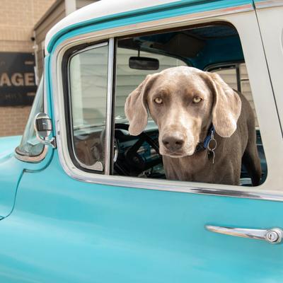 gallery photo number 18