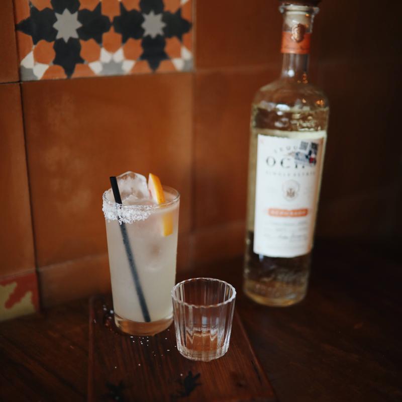 Premium Paloma photo