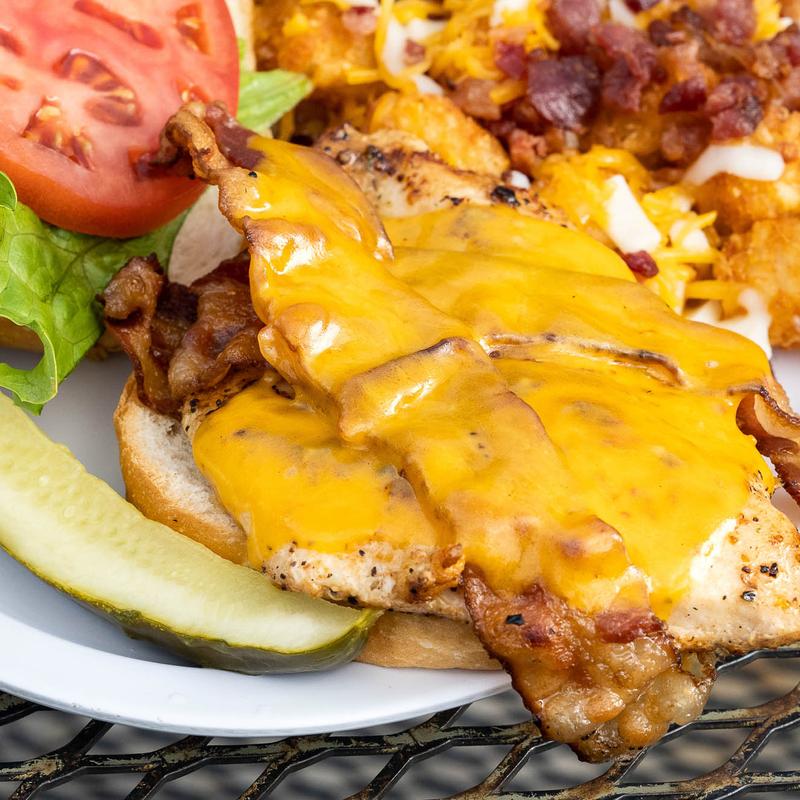 Grilled Chicken Breast Sandwich photo
