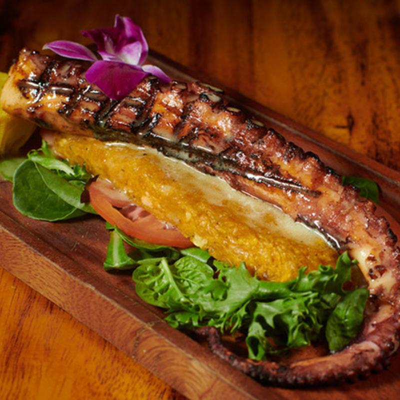PULPO CON MOFONGO photo