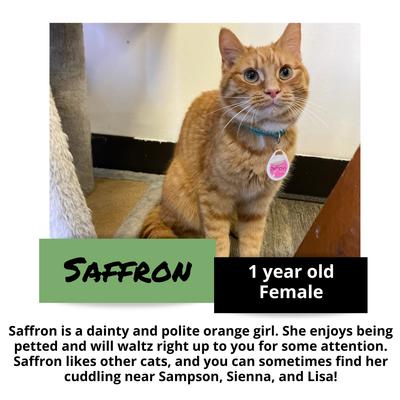 gallery photo number 10