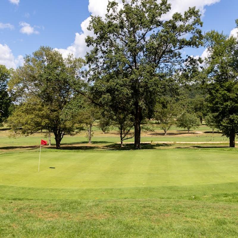 Order Now gallery carousel photo number 8