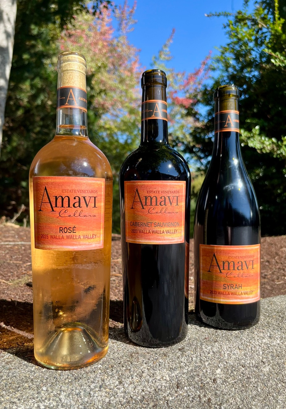 Amavi Cellars event photo