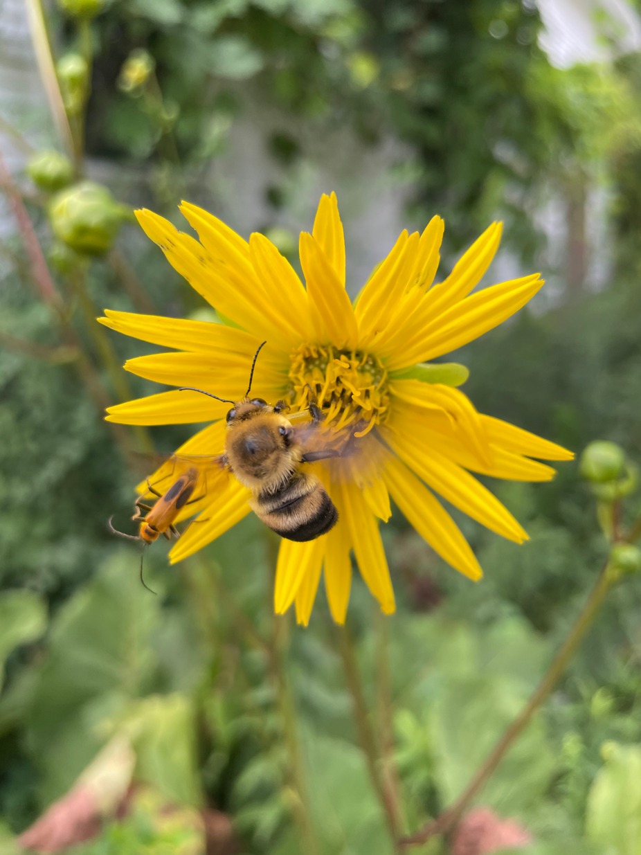 Harmonious: A Songwriters’ Showcase event photo