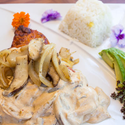 A closeup on grilled chicken in sauce.