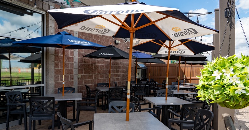 A sunny outdoor patio features tables shaded by several branded beer umbrellas