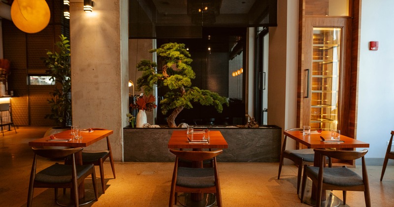 Interior seating area with wooden tables, chairs, and ambient lighting