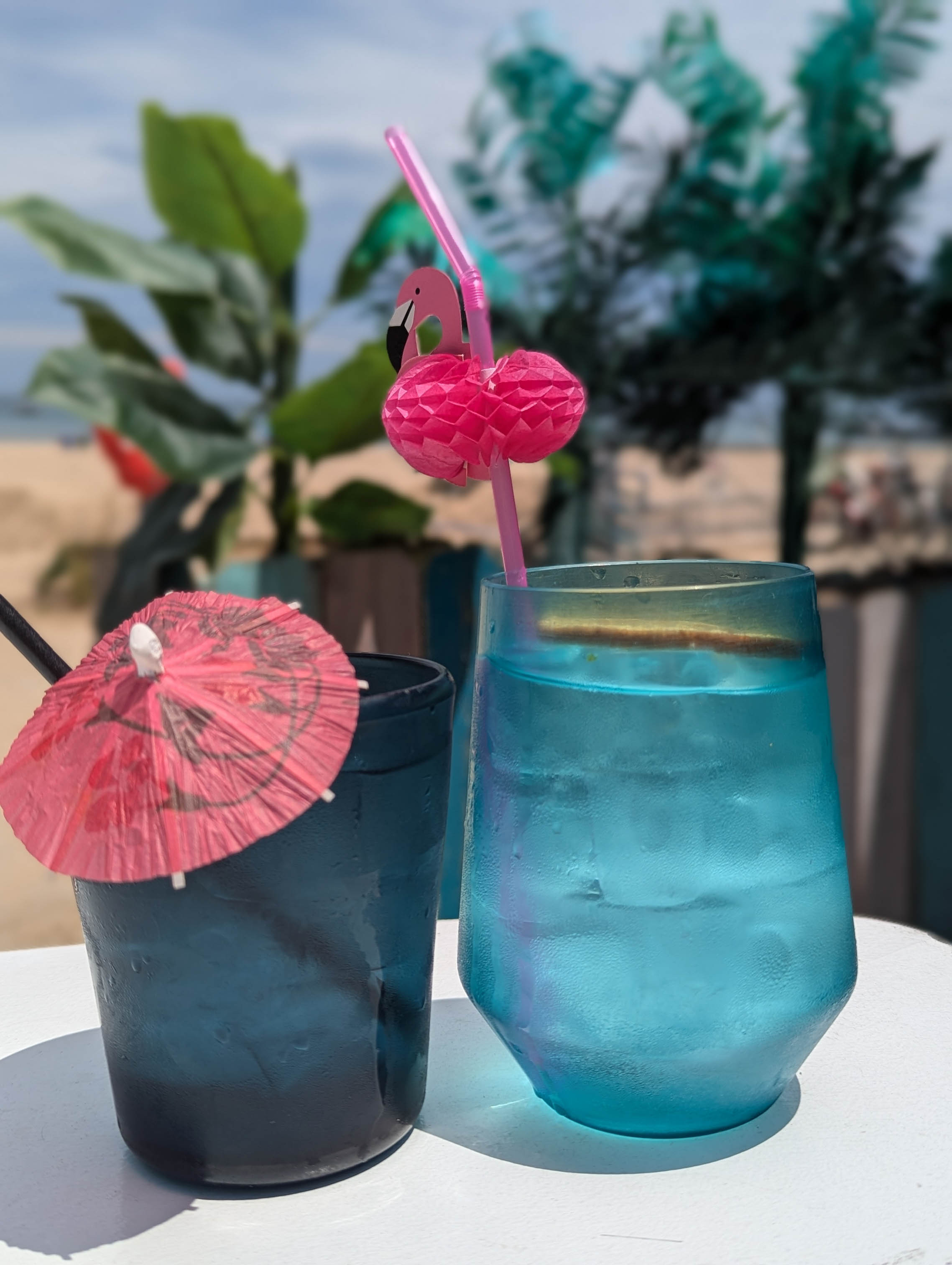 slideshow photo number 19