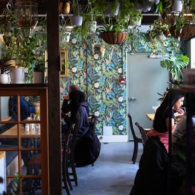 Interior with lush plants, floral wallpaper, and wooden furniture.