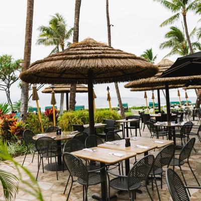 gallery photo number 7