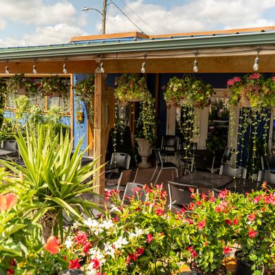 Outdoor patio with hanging plants and string lights, lush greenery and red flowers.