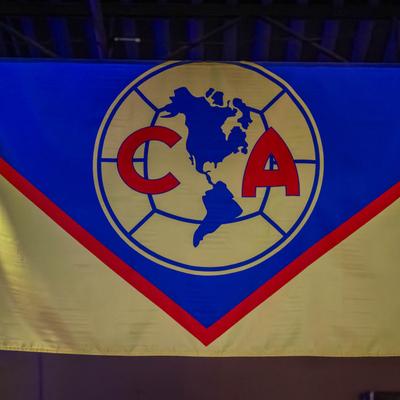 A blue and white flag with a globe and red C and A letters.