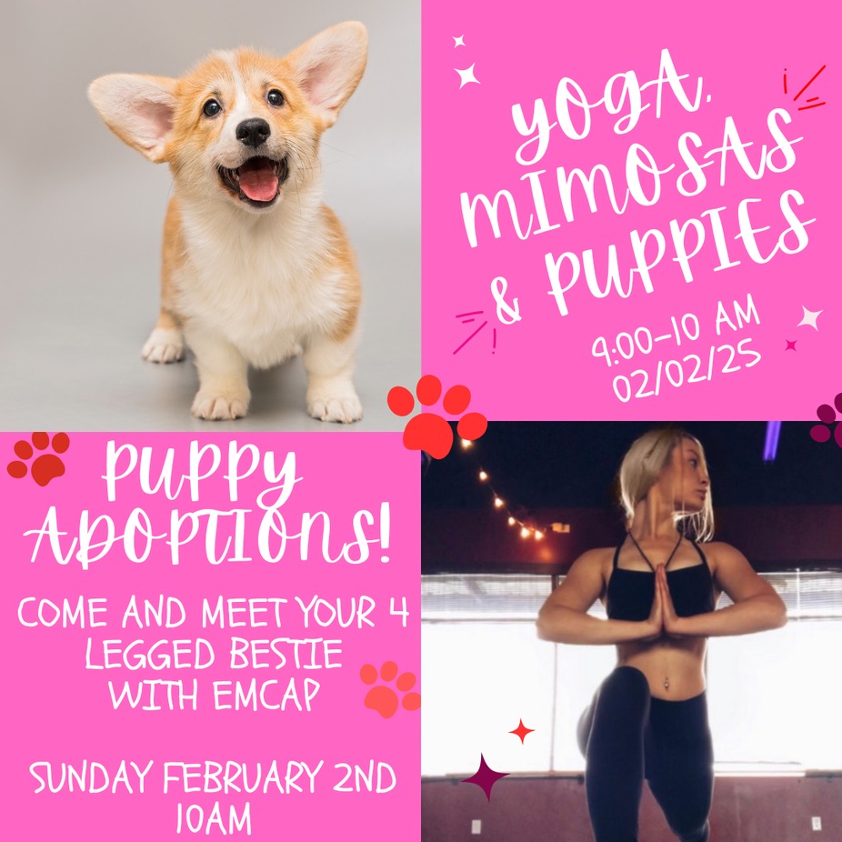 Puppy Yoga & Mimosas! event photo