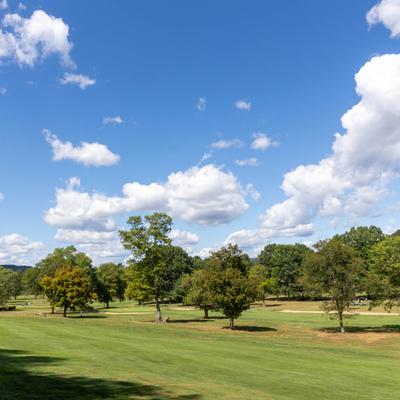 gallery photo number 7