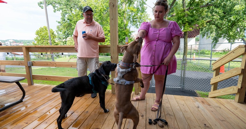 Two people interact with two harnessed dogs on a wooden outdoor deck