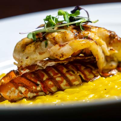 Lobster tail on a bed of yellow risotto.