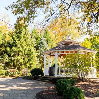 gallery photo number 61